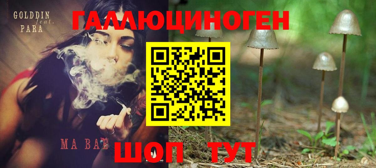 Галлюциногенные грибы MAGIC MUSHROOMS Кисловодск