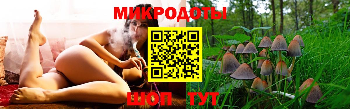 Кисловодск  Галлюциногенные грибы MAGIC MUSHROOMS  Вход с VPN  наркошоп  Псилоцибиновые грибы Magic Shrooms 